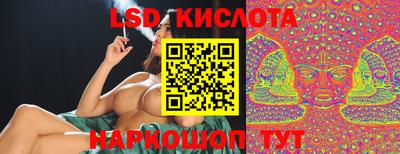прущие грибы Усть-Илимск