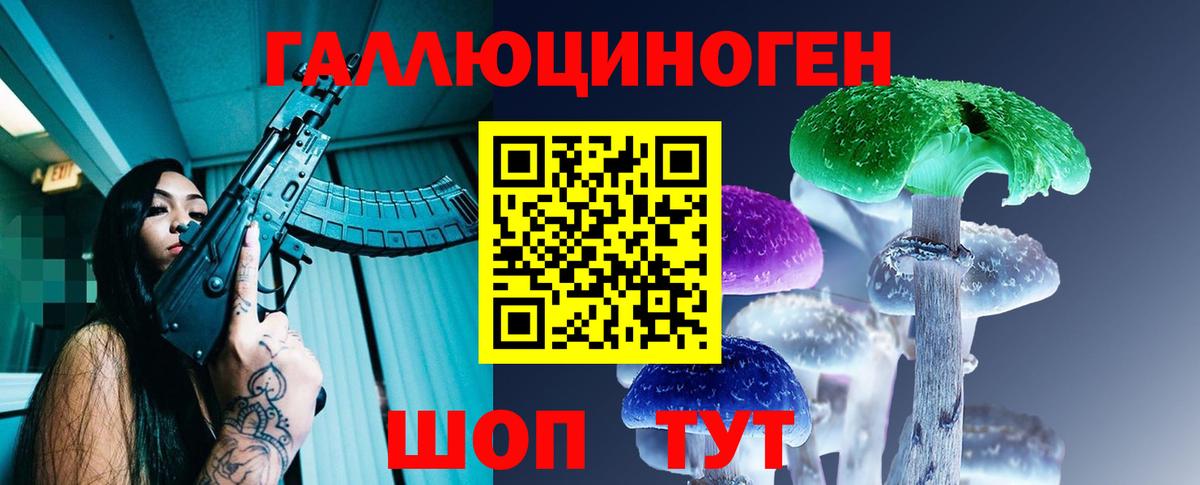 Галлюциногенные грибы Psilocybine cubensis Белая Калитва