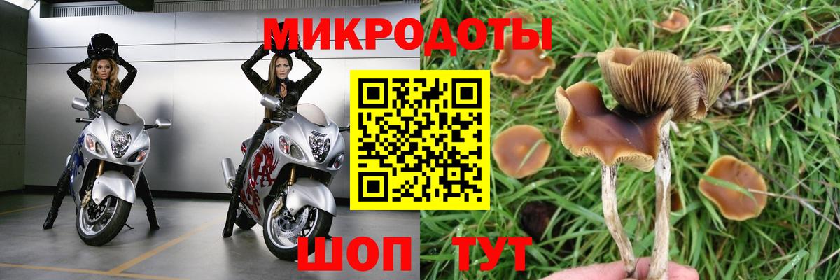 Белая Калитва  Галлюциногенные грибы Psilocybe  Вход с VPN  Галлюциногенные грибы Psilocybine cubensis 